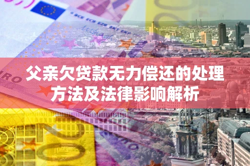 武汉父亲欠贷款无力偿还的处理方法及法律影响解析
