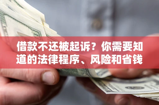 武汉借款不还被起诉？你需要知道的法律程序、风险和省钱技巧