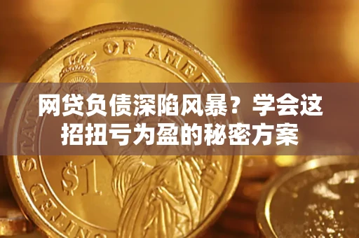 武汉网贷负债深陷风暴？学会这招扭亏为盈的秘密方案
